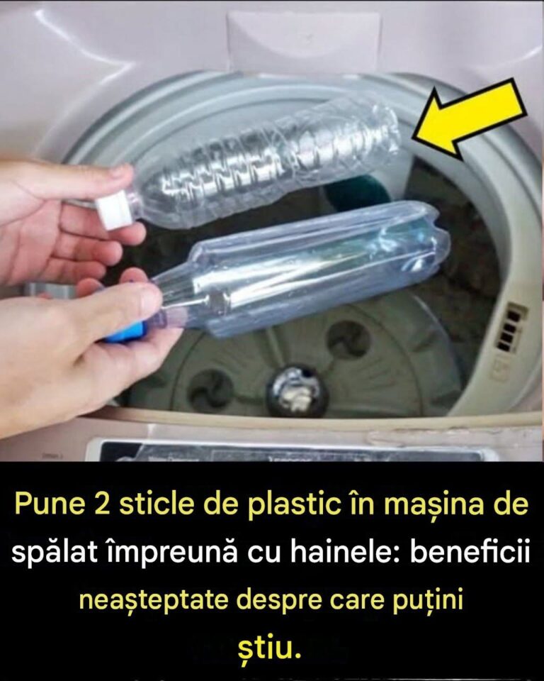 Pune 2 sticle de plastic în mașina de spălat împreună cu hainele: beneficii neașteptate despre care puțini știu.