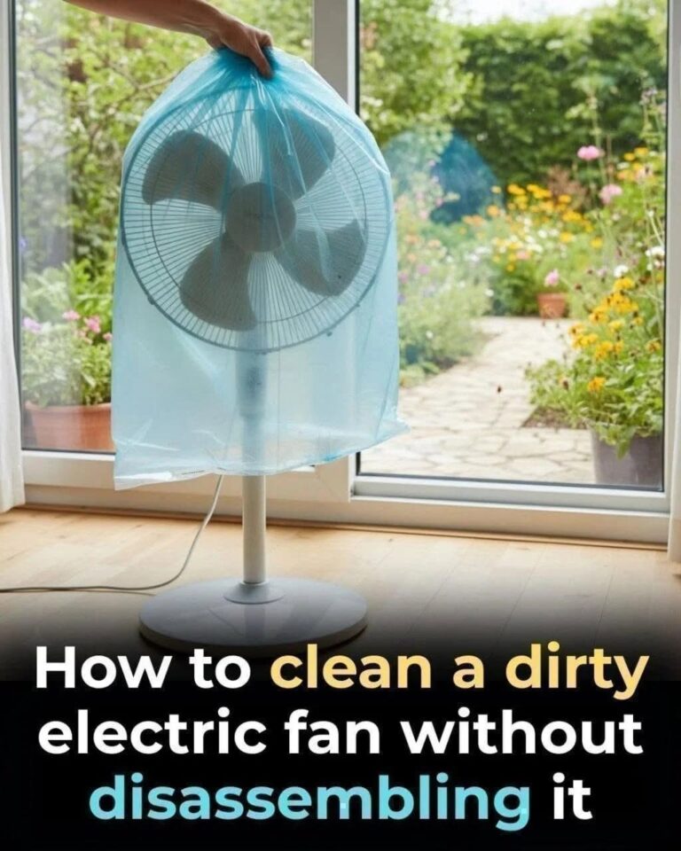 Sar te thoves o ventilatoro bi te lel les avri Akava triko ka surprizinel tut 👇