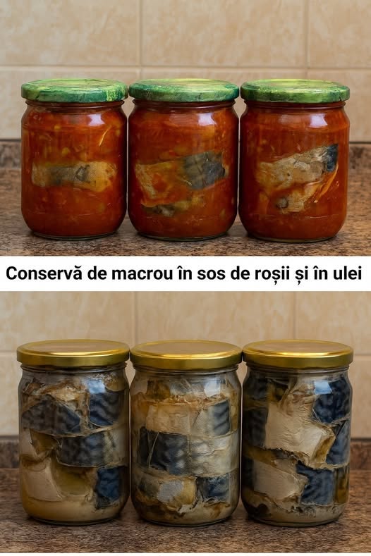 Conserve de macrou: în sos de roșii și în ulei – 2 rețete foarte gustoase