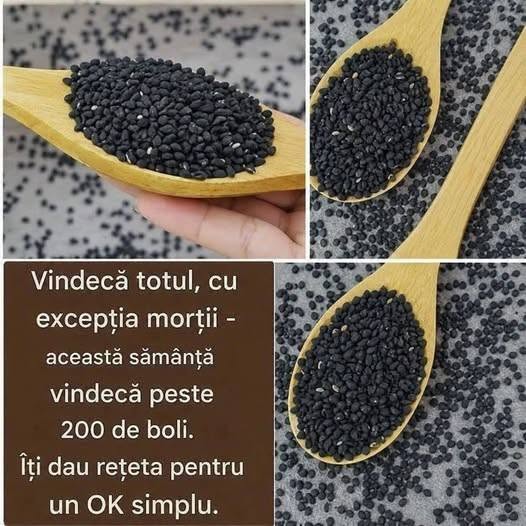 Chimenul negru, cunoscut și sub denumirea de Nigella sativa, este o plantă cu o istorie bogată în medicina tradițională orientală. Semințele sale mici, negre și aromate nu doar că îmbogățesc preparatele culinare, dar sunt și o sursă valoroasă de compuși naturali care pot susține sănătatea. În acest articol, vom explora beneficiile chimenului negru, modalitățile de consum și precauțiile necesare pentru a-l integra în dieta noastră, astfel încât să îți îmbunătățești starea de bine.