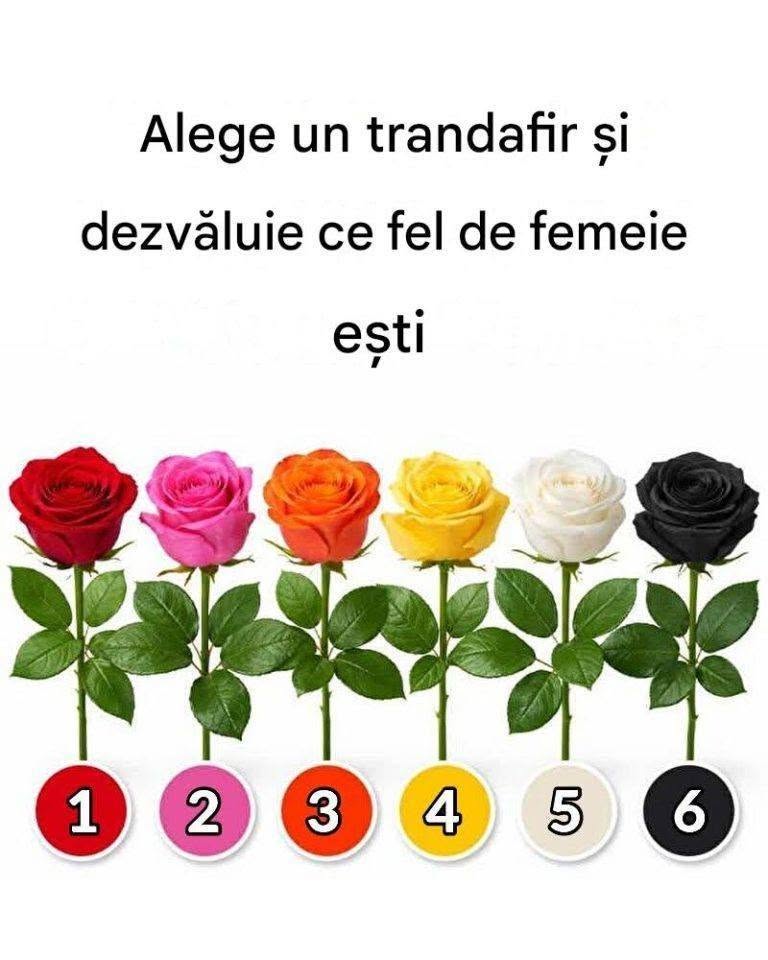 Alege un trandafir și dezvăluie ce fel de femeie ești. Vezi primul comentariu 