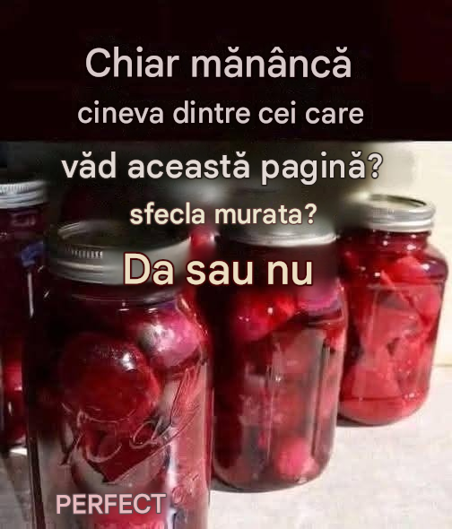 Sfeclă murată