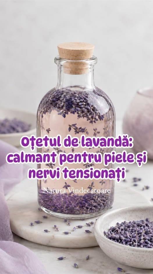 Oțetul de lavandă: calmant pentru piele și nervi tensionați În vremuri în care stresul cotidian și disconfortul pielii par a fi constante, remediile naturale revin în prim-plan cu soluții delicate, dar eficiente. Printre ele