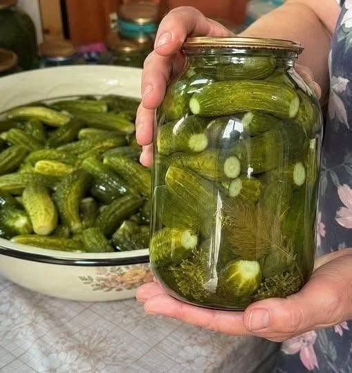 Cea mai bună rețetă de castraveți murați cu apă rece – Fără oțet sau acid citric, sănătate curată