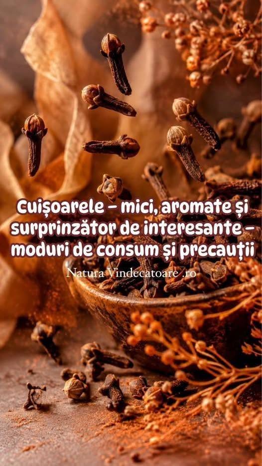 Ce sunt cuișoarele?