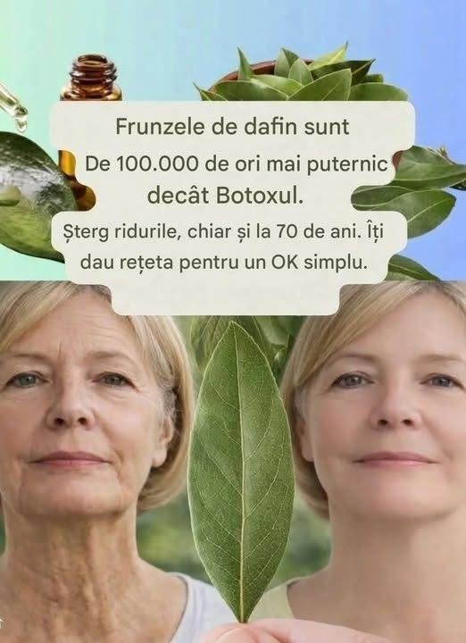 Laurul: O investiție în frumusețe naturală care pune la încercare cheltuielile cu cosmeticele anti-îmbătrânire