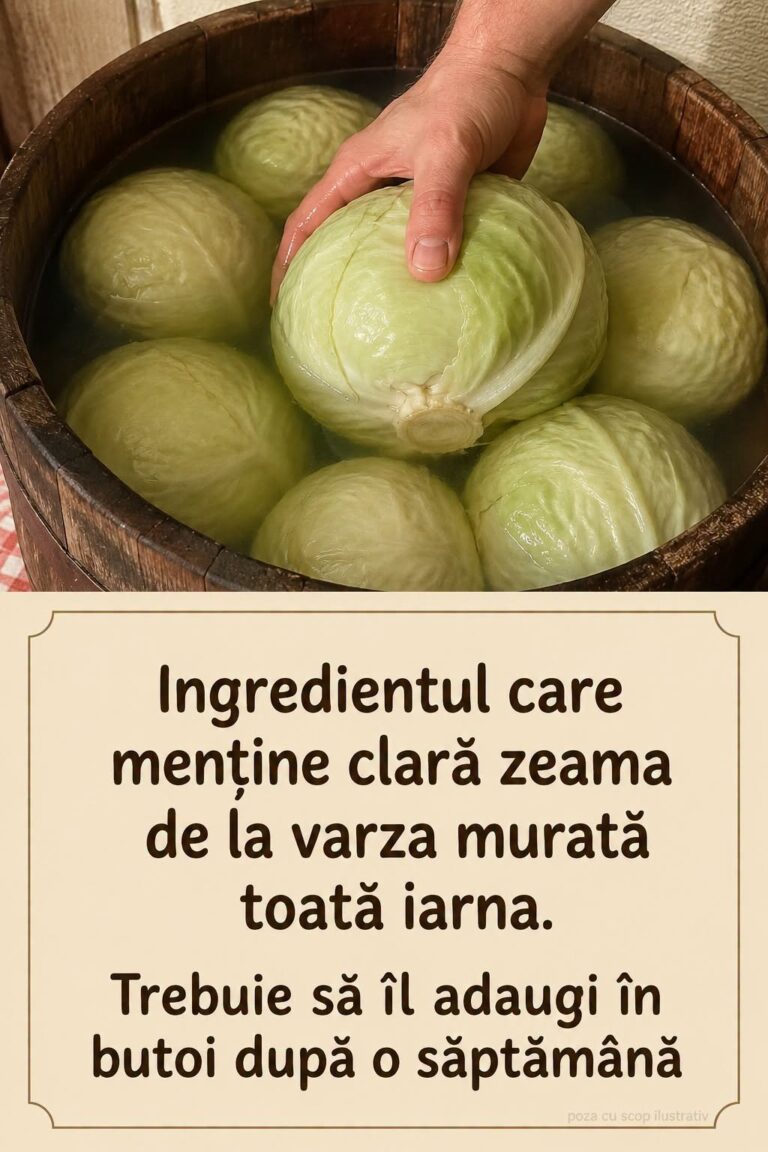 Varza murată – Cum previi acrirea excesivă