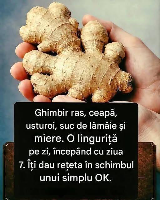 Infecțiile respiratorii, sinuzita și congestia nazală sunt probleme frecvente care ne afectează sănătatea, mai ales în sezonul rece sau când sistemul imunitar este slăbit. Din fericire, natura ne 