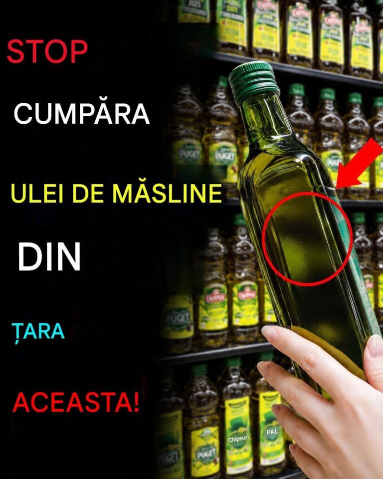 80% din uleiul de măsline este FALS! Al tău face parte din asta?