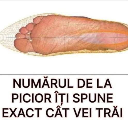 Ideea că mărimea pantofilor ar putea prezice durata de viață a unei persoane este o noțiune fascinantă, dar complet nefondată. Această teorie, care circulă frecvent pe internet, se bazează pe confuzii și corelații eronate. În realitate, longevitatea este influențată de o multitudine de factori, inclusiv genetică, mediu și stil de viață, nu de eticheta de pe încălțăminte.