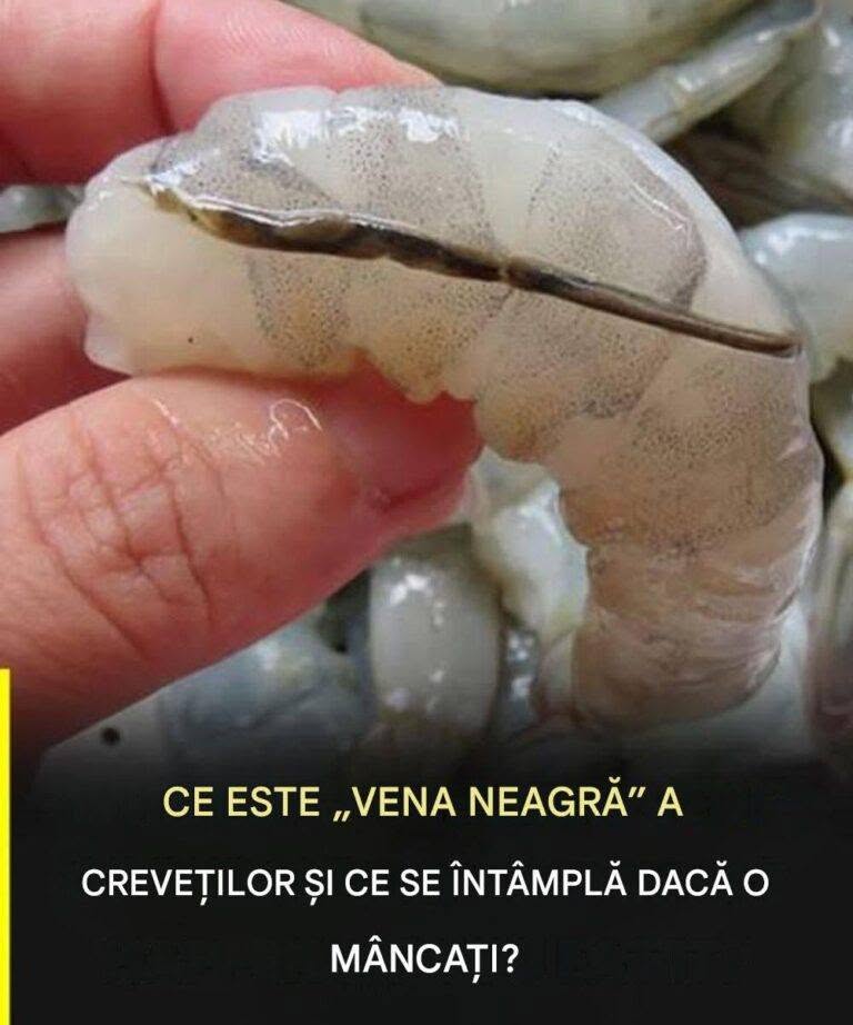 Ce este de fapt „vena” creveților? (Majoritatea oamenilor înțeleg greșit!)