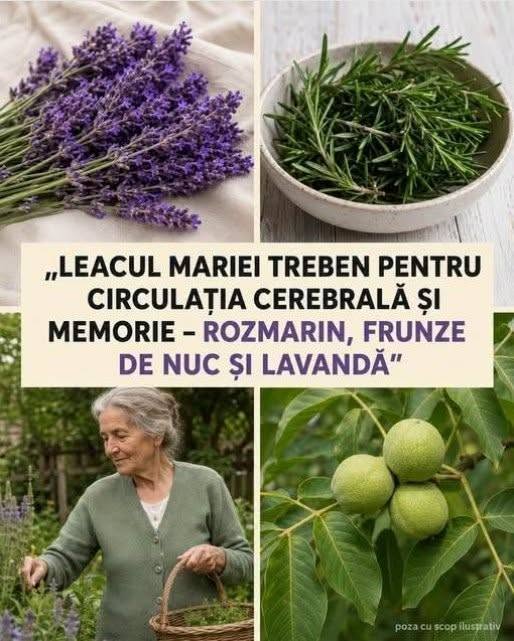 Amestecul de Plante pentru Ceai