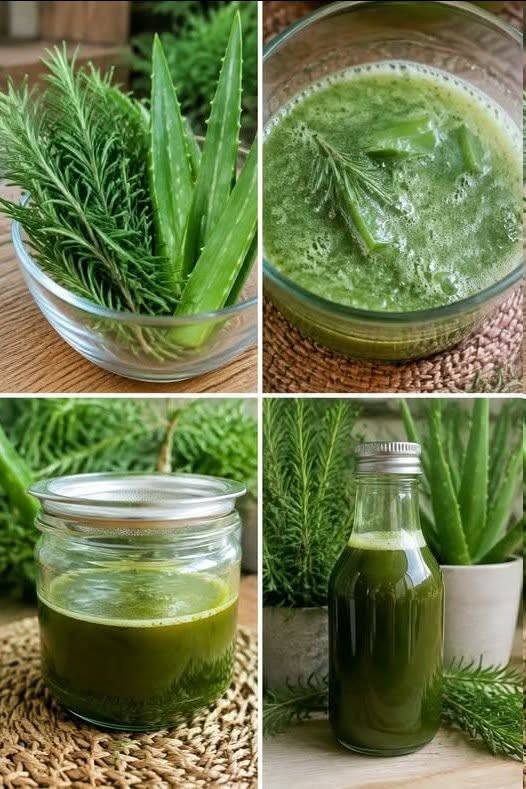 Amestecă rozmarin și aloe vera, după doar 2 minute îmi vei mulțumi: folosesc acest remediu de la bunica mea de două ori pe săptămână!