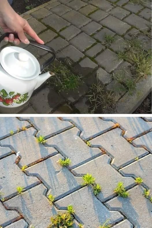 Buruienile dispar peste noapte! Soluția naturală, eficientă și ieftină pe care o ai deja în casă