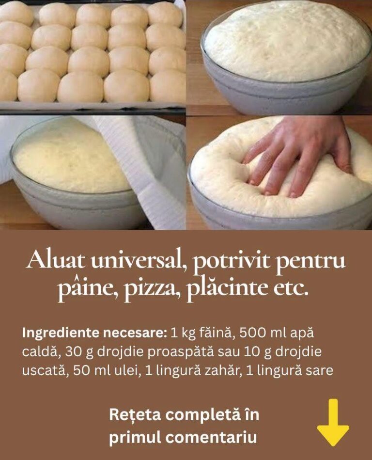 Dacă ești în căutarea unei rețete versatile care să nu conțină ouă sau lapte, ai ajuns în locul potrivit!