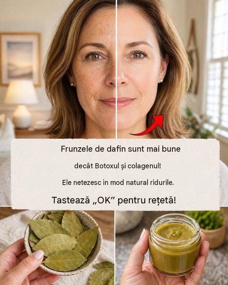 Cum să încorporezi frunza de dafin în rutina ta de îngrijire a pielii: sfaturi simple pentru o frumusețe naturală și un ten cu aspect sănătos