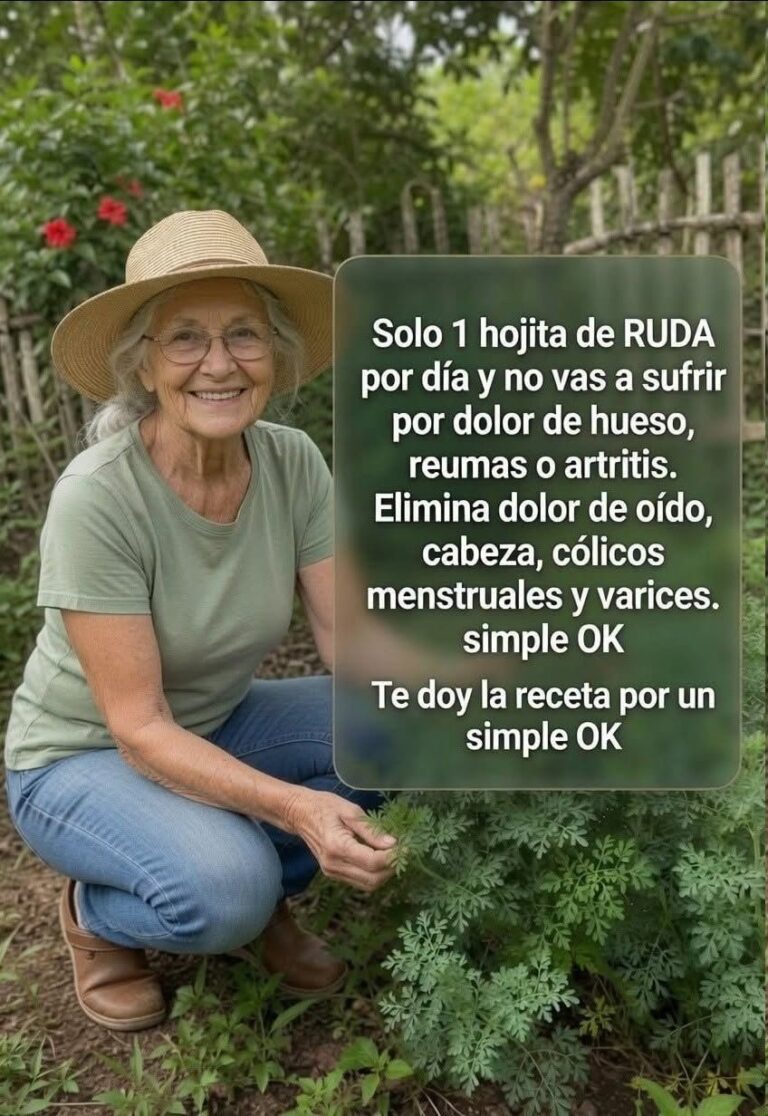 Una hoja de ruda diaria… Te doy la receta a cambio de un simple