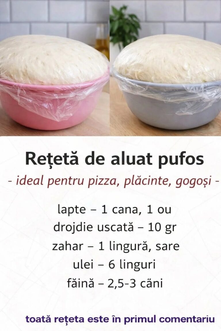  Aluat pufos pentru plăcinte, pizza sau gogoși