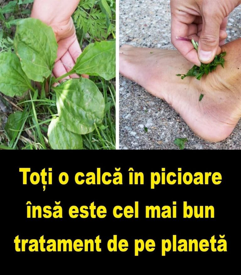 Toți românii o calcă în picioare, însă este cel mai bun tratament de pe planetă!