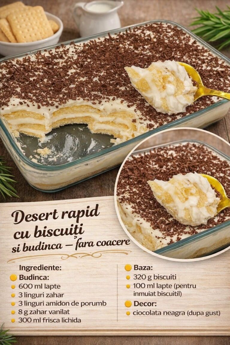 Desert rapid cu biscuiti si budinca – fara coacere, cremos si delicios