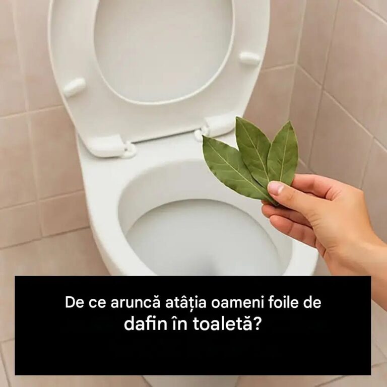 De ce trebuie să arunci frunze de dafin în toaletă?
