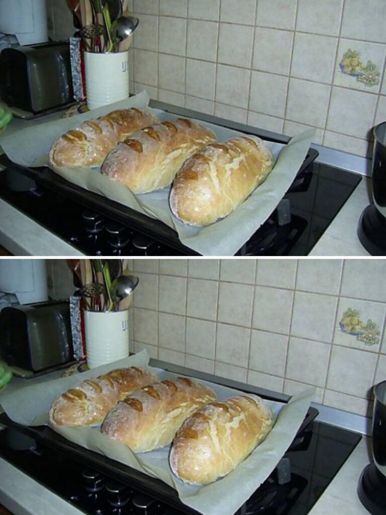 Paine de casa