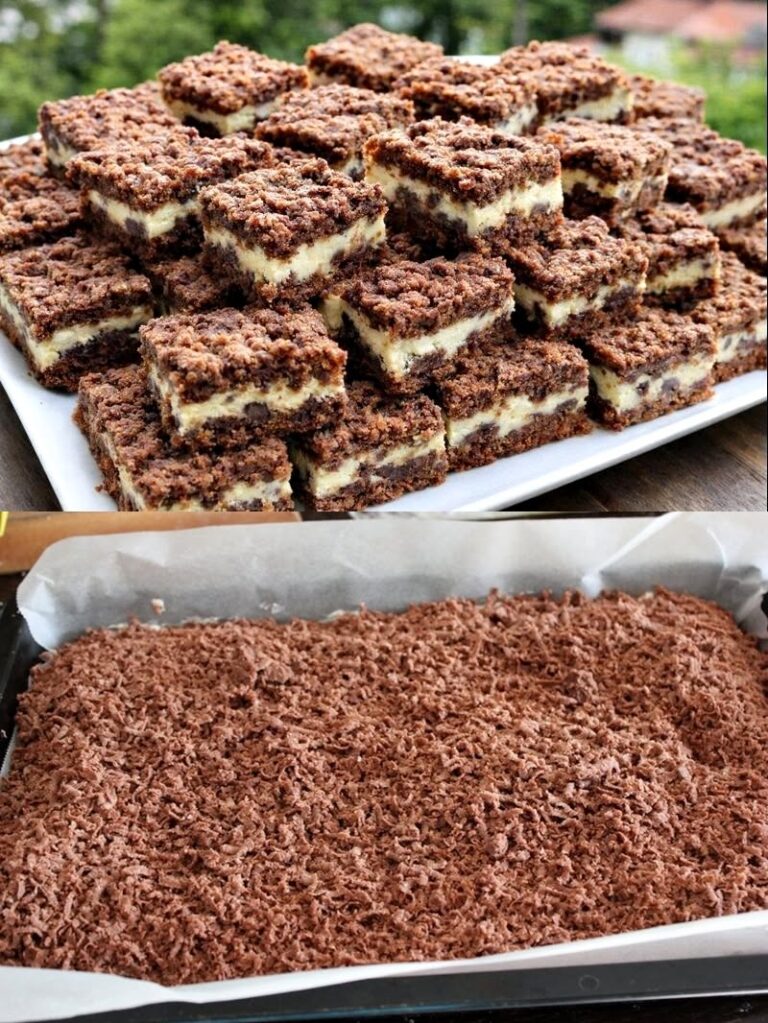 Prajitura Rudy – reteta de prajitura frageda cu cacao si branza dulce