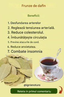 🍃 CEAI DE FRUNZE DE DAFIN: Rețeta Aromată și Beneficiile Sale Remarcabile!