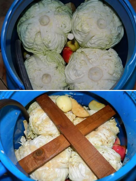 Varza murata pentru iarna