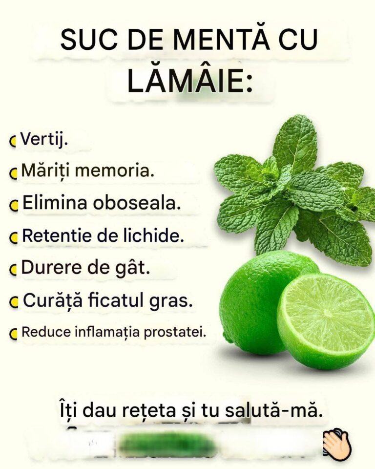 🍋 Suc de Mentă cu Lămâie (Limonadă Răcoritoare): Băutura Detoxifiantă și Revigorantă!