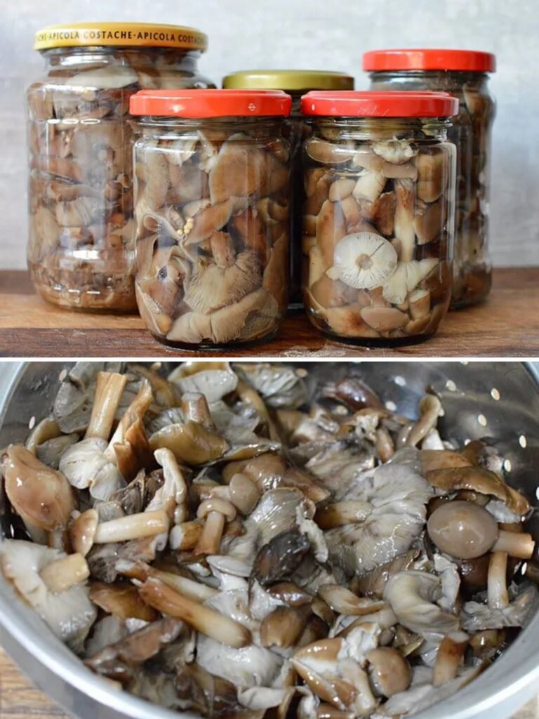 Ghebe in otet reteta traditionala de ghebe marinate
