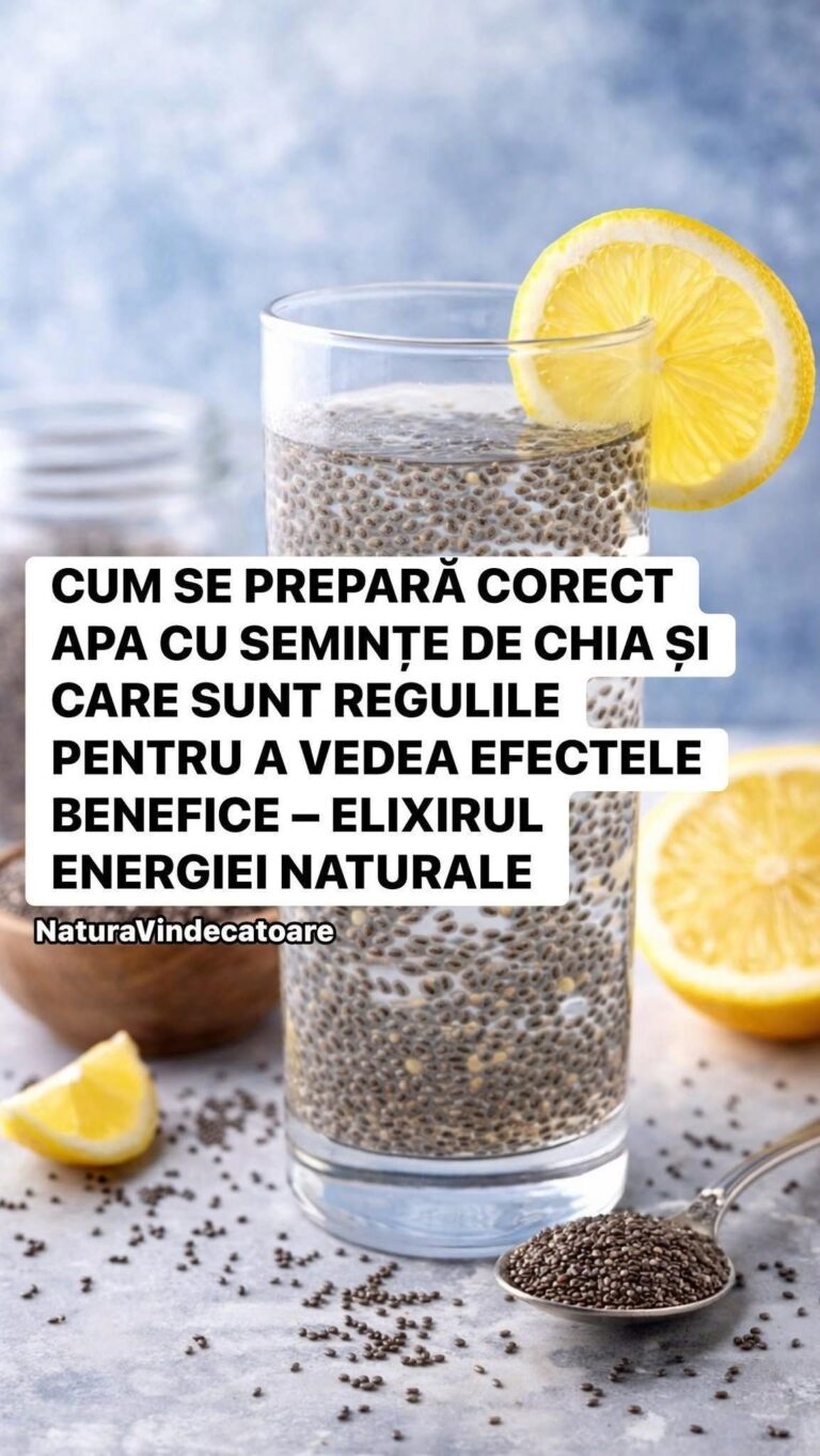 CUM SE PREPARĂ CORECT APA CU SEMINȚE DE CHIA ȘI CARE SUNT REGULILE PENTRU A VEDEA EFECTELE BENEFICE – ELIXIRUL ENERGIEI NATURALE O băutură simplă, dar surprinzător de puternică pentru organism