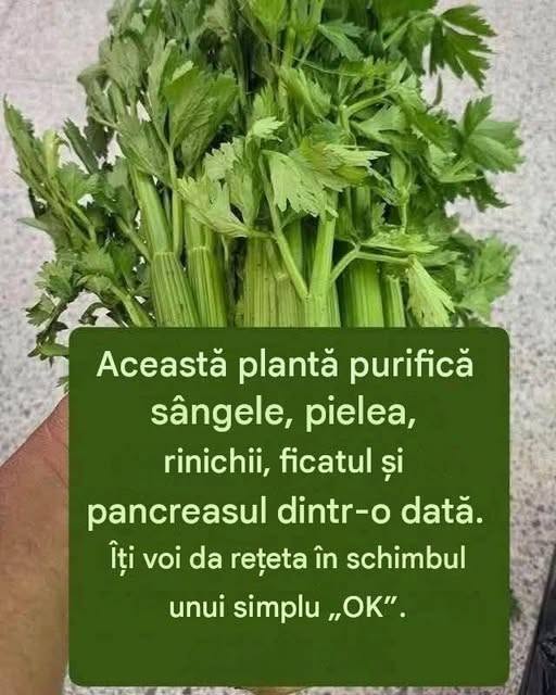 Rețetă Completă: Suc / Smoothie Verde Detoxifiant din Țelină Apio, Măr și Lămâie 🥬🍏🍋✨