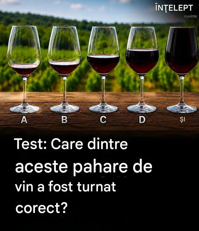TEST: Care dintre aceste pahare de vin a fost servit corect?